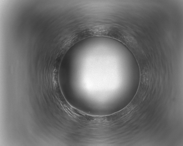 X0000059811346200510241345