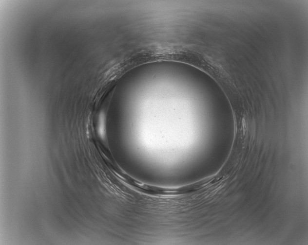 X0000059811348200510241345