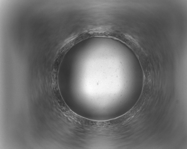 X0000059811350200510241345