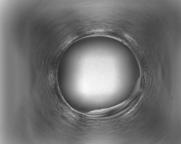 X0000059811353200510241344