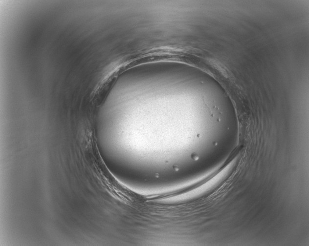 X0000059811355200510241344