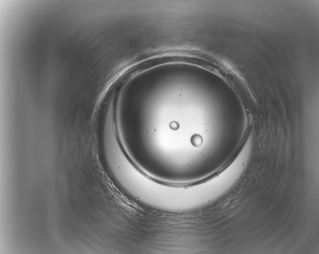 X0000059811360200510241344