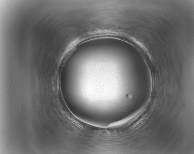 X0000059811365200510241344