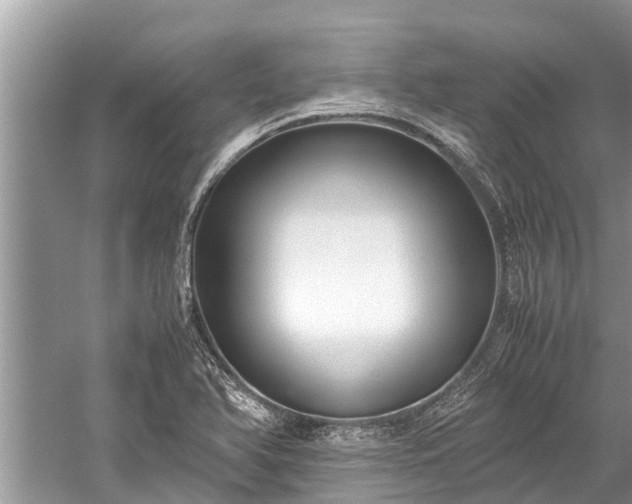 X0000059811366200510241344