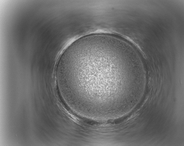 X0000059811367200510241344