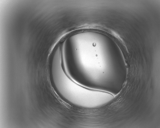 X0000059811368200510241344