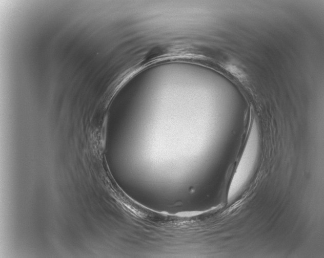 X0000059811369200510241344