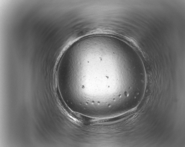 X0000059811371200510241344