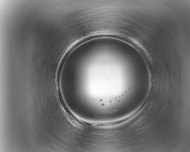 X0000059811372200510241344