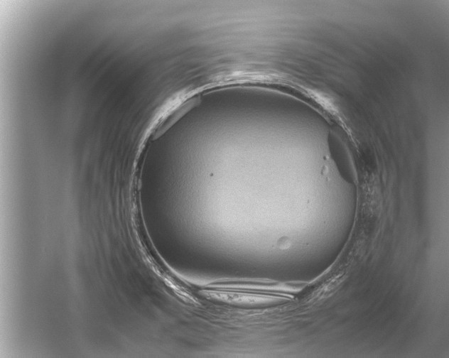 X0000059811373200510241344