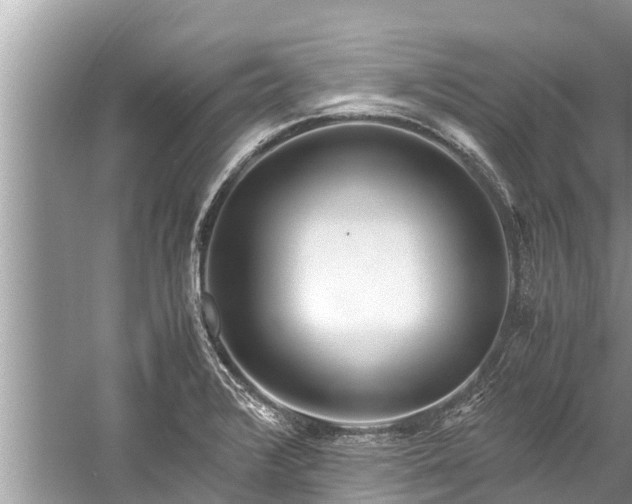 X0000059811376200510241344