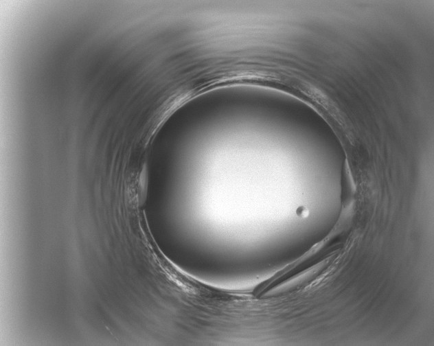 X0000059811377200510241344