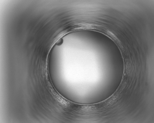 X0000059811378200510241344