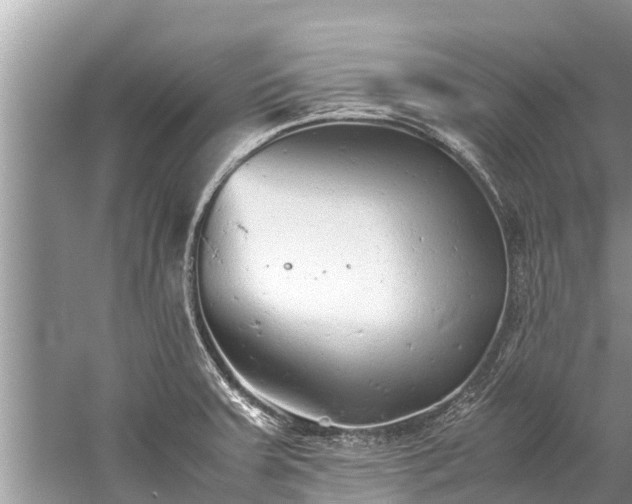 X0000059811379200510241344