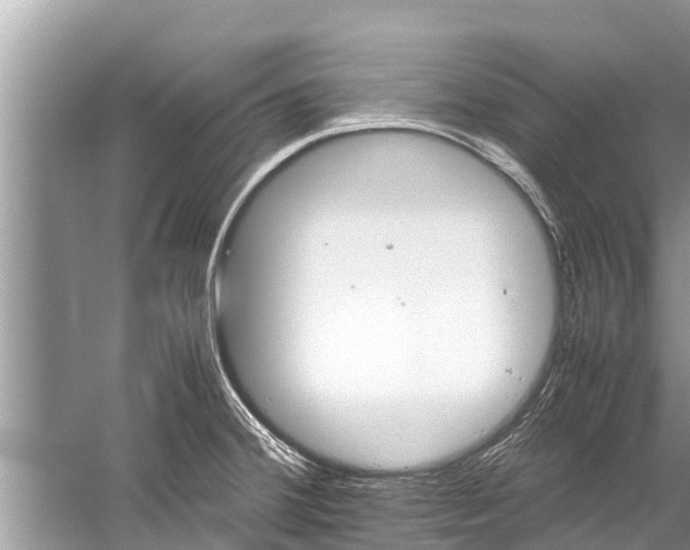 X0000059811380200510241344