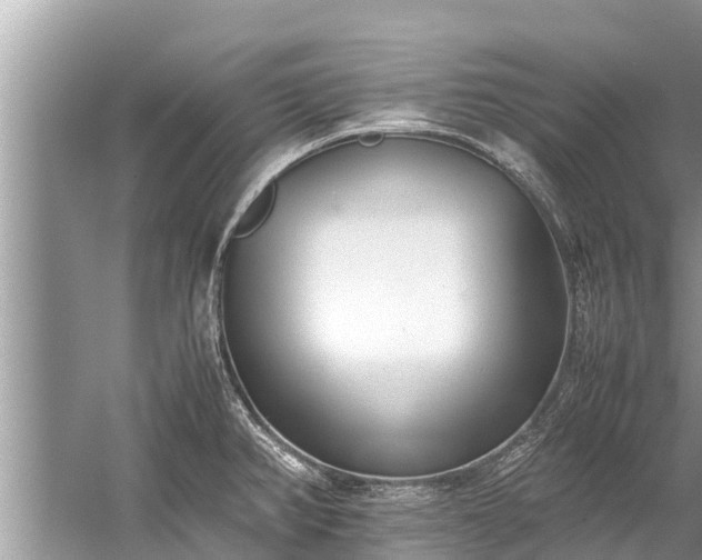 X0000059811382200510241344