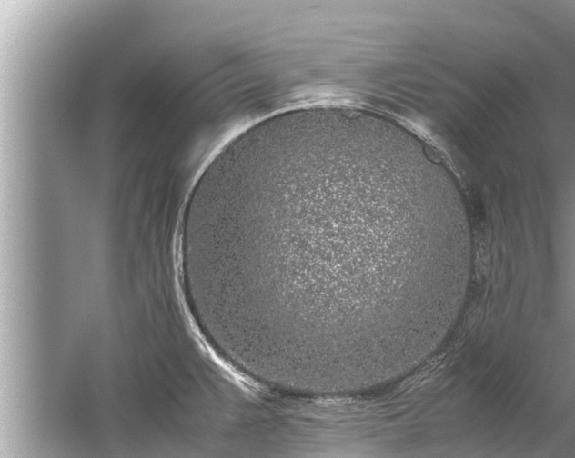 X0000059811383200510241344