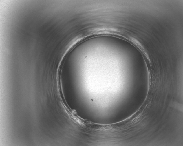 X0000059811384200510241344