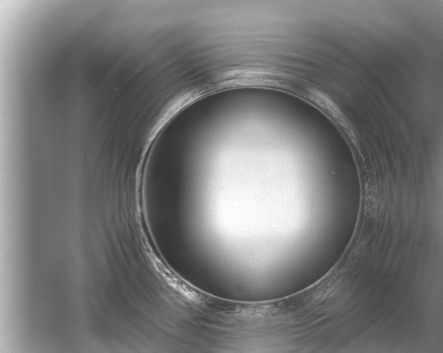 X0000059811386200510241344