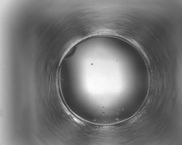 X0000059811390200510241344