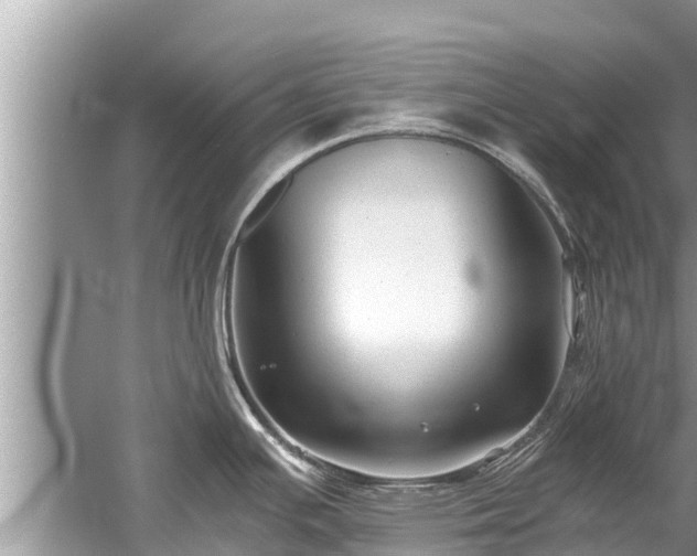 X0000059811391200510241344