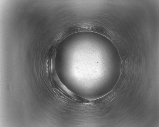 X0000059811394200510241343