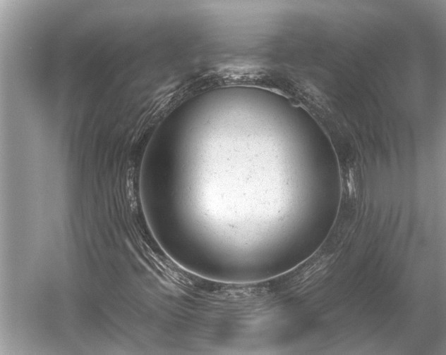 X0000059811396200510241343