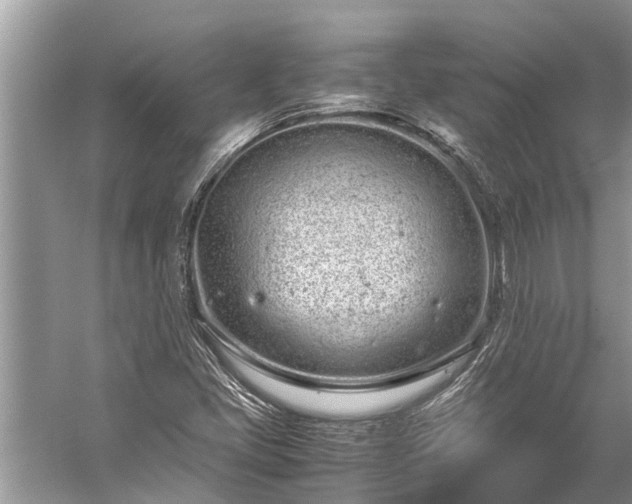 X0000059811405200510241343