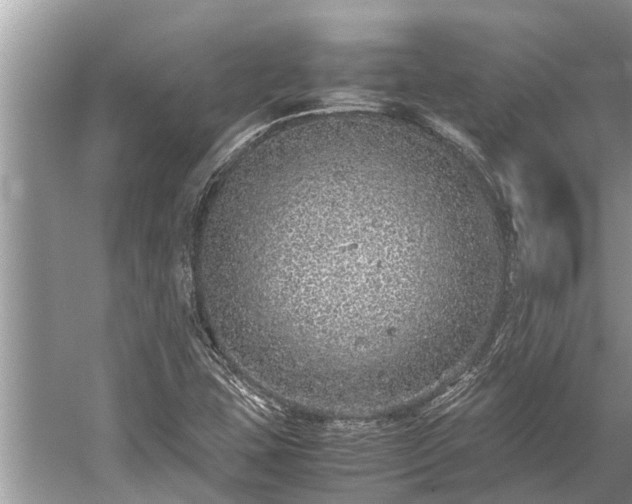 X0000059811407200510241343