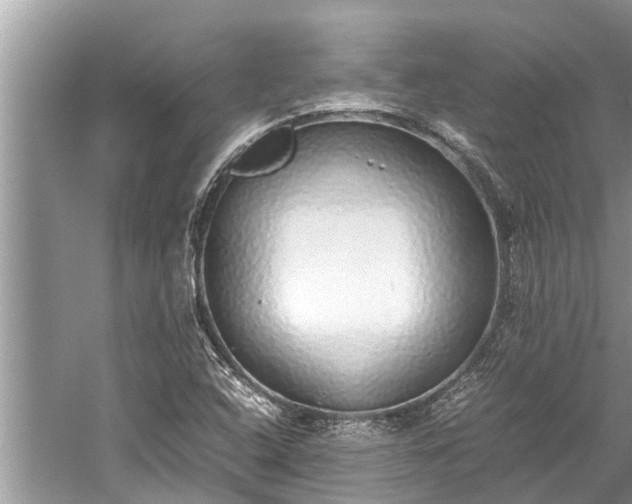 X0000059811408200510241343