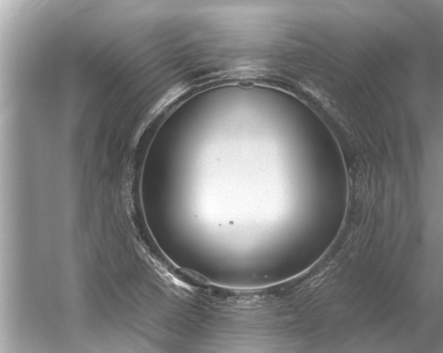 X0000059811410200510241343