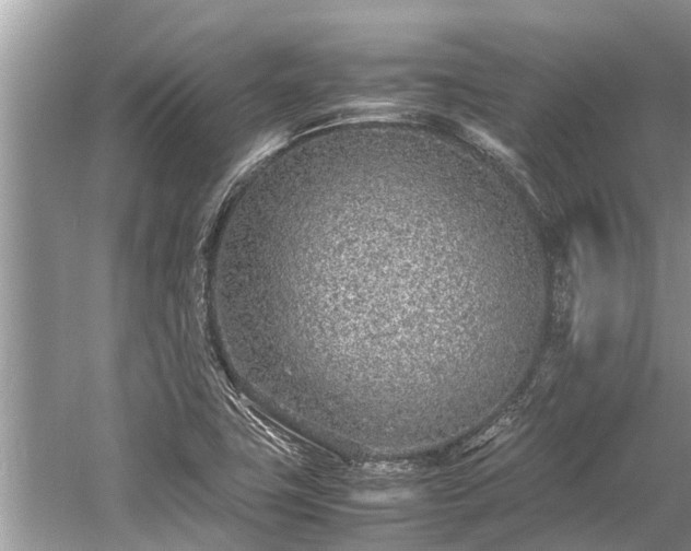 X0000059811411200510241343