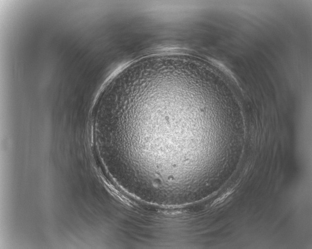 X0000059811413200510241343