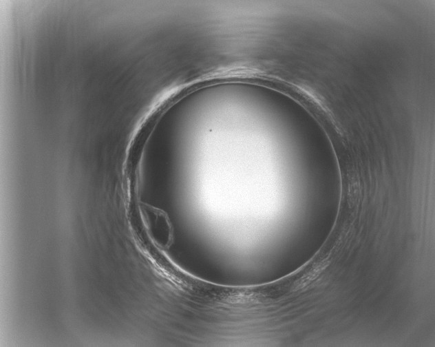 X0000059811414200510241343