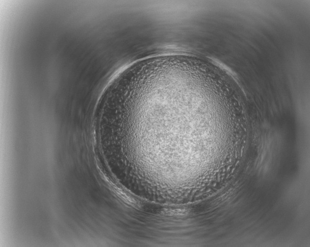 X0000059811415200510241343