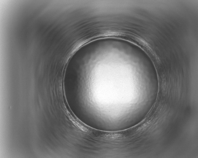 X0000059811417200510241343