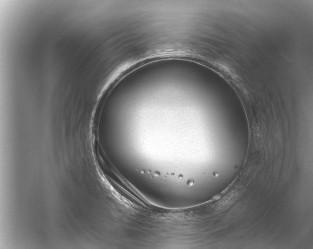 X0000059811422200510241344