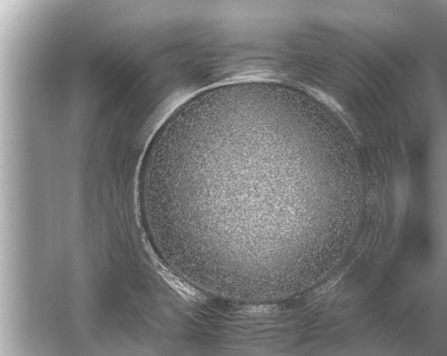 X0000059811423200510241344