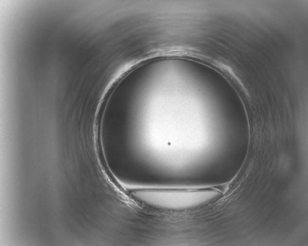 X0000059811424200510241344