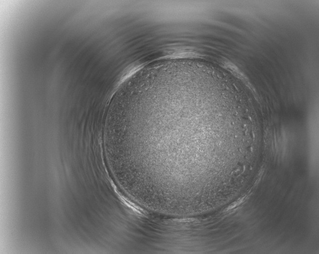 X0000059811425200510241344