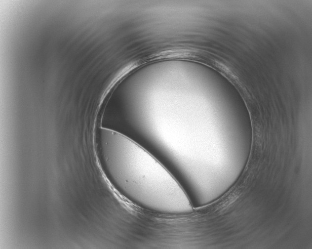 X0000059811426200510241344