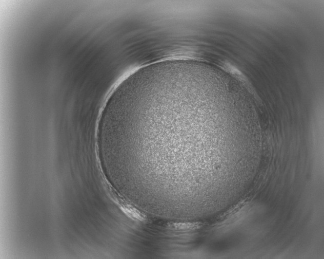 X0000059811427200510241344