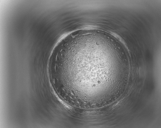 X0000059811429200510241344