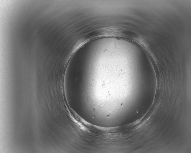 X0000059811433200510241344