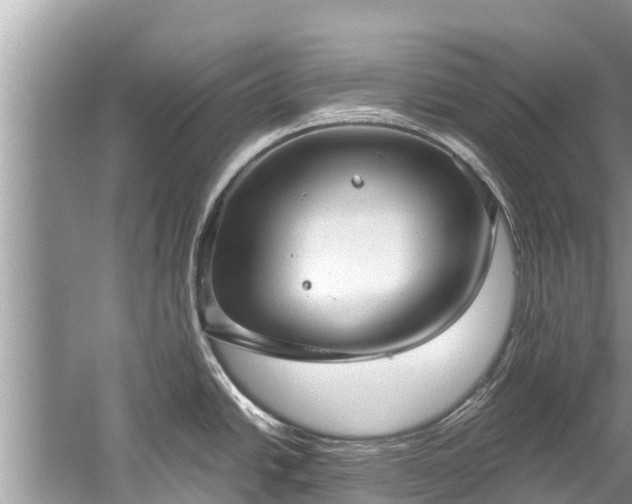 X0000059811438200510241344