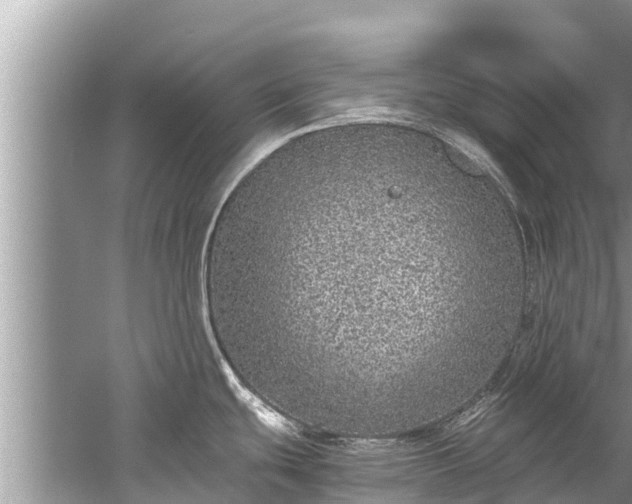 X0000059811439200510241344