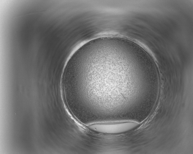 X0000059811440200510241344