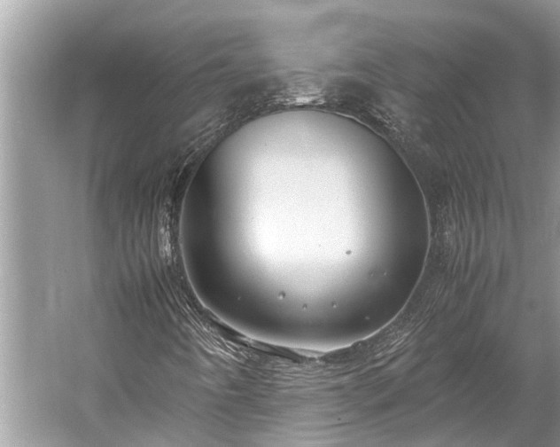 X0000059811442200510241343