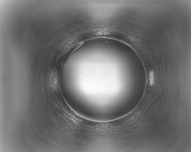 X0000059811444200510241343