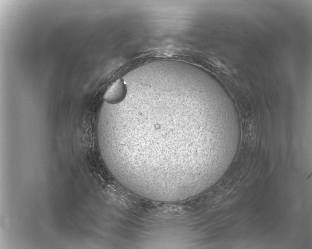 X0000059811446200510241343